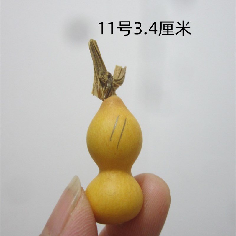 天然异形手捻草里金小葫芦上大下小葫芦一物一图号