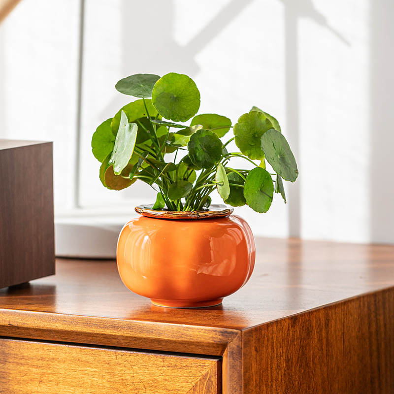 创意柿子水培花盆陶瓷绿植绿萝铜钱草花瓶桌面办公桌装饰品摆件