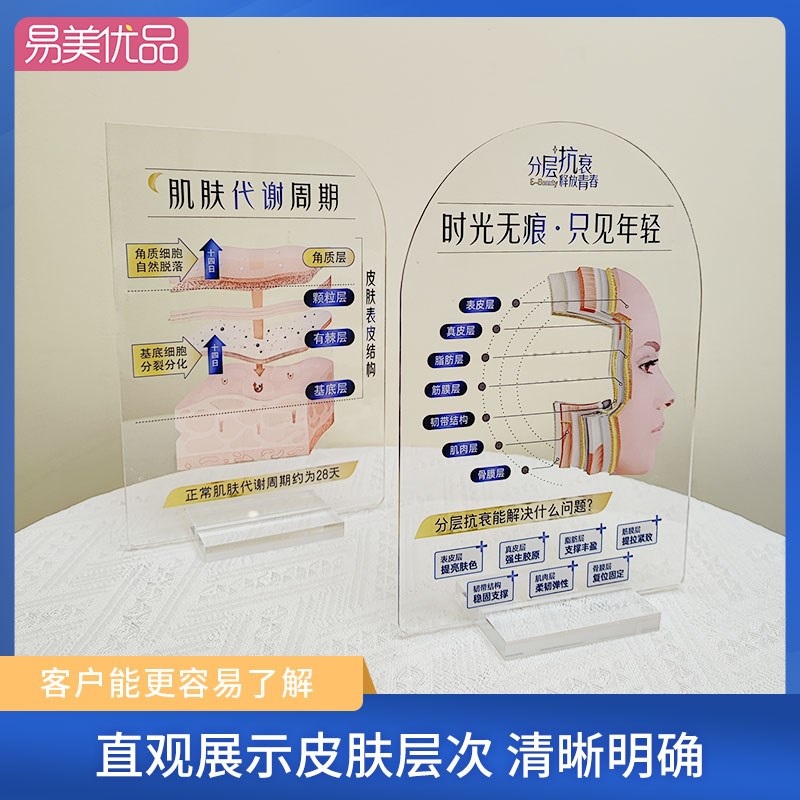 美容展示牌分层抗衰肌肤结构亚克力医学皮肤解剖知识讲解促单医美