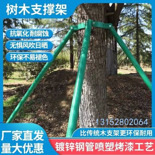 镀锌钢管树木支撑架金属铁抱箍固定器    行道绿化防风大树