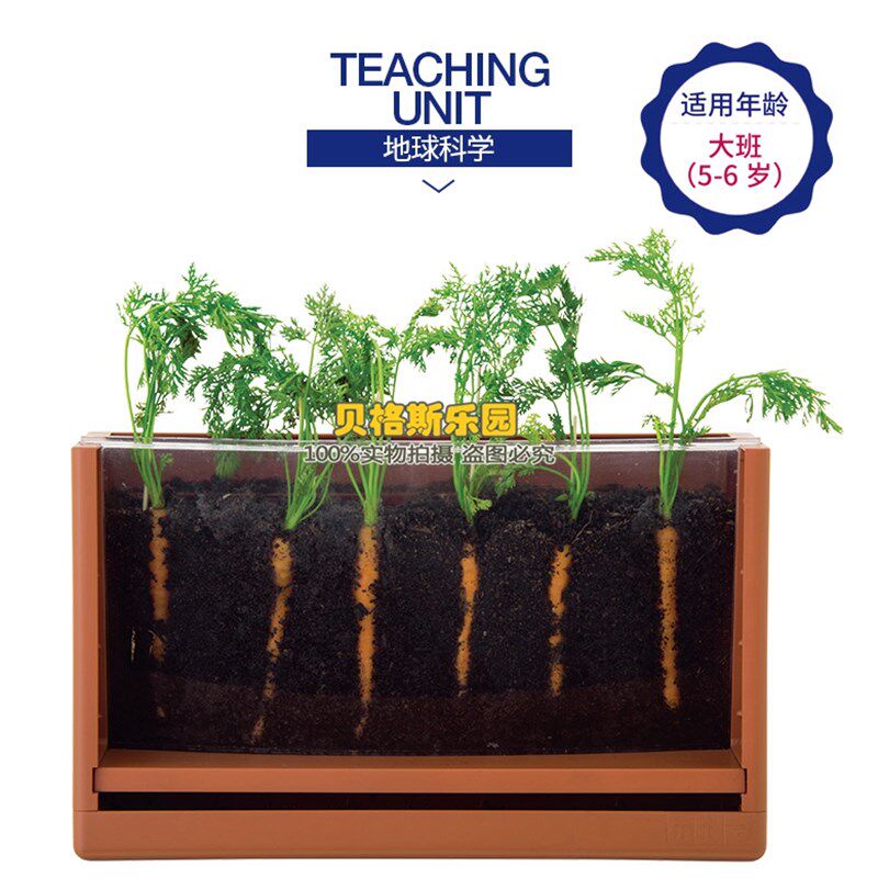 堆肥观察盆幼儿园科学区根茎盆观察箱水耕培养试管生长瓶