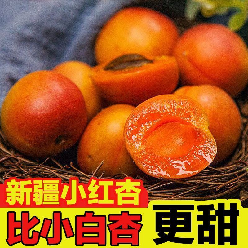 正宗新疆阿克苏小红杏子新鲜水果现摘原产孕妇四团吊干杏子包邮