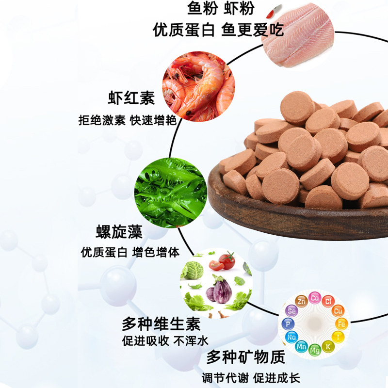小型鱼饲料贴片凤尾鱼食热带鱼孔雀鱼红绿灯科鱼斗鱼幼鱼微粒鱼粮,宠物/宠物食品及用品,观赏鱼饲料,淘宝优惠券,粉丝福利购,淘宝优惠卷