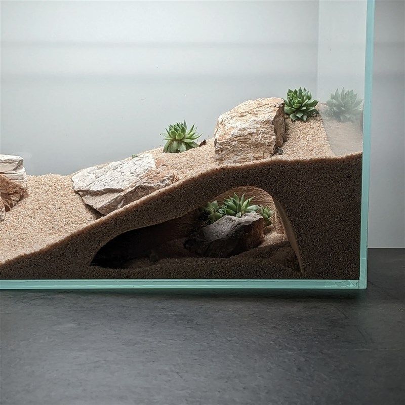 爬宠躲避鱼缸造景观赏洞鱼虾躲避屋创意地下洞穴造饲养缸景装饰,宠物/宠物食品及用品,爬宠躲避/造景,淘宝优惠券,粉丝福利购,淘宝优惠卷