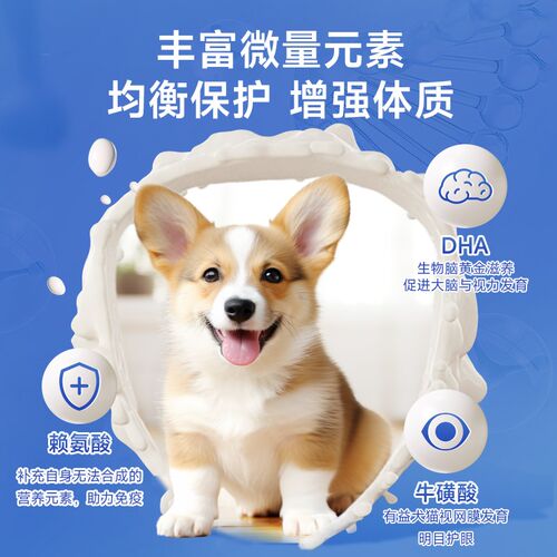 怡亲犬用洁齿棒狗狗磨牙棒耐咬泰迪金毛训犬奖励幼犬小狗宠物DD