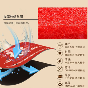 2024年新款 龙年进门地垫玄关入户门垫丝圈刮泥垫新年脚垫家用地毯