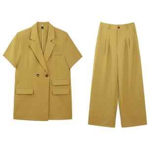 外套显瘦套装 夏季 两件套装 阔腿裤 薄款 西装 微胖mm短袖 新款 女装 大码