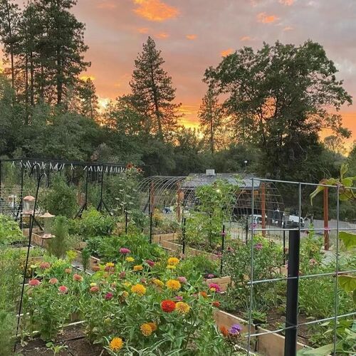一米菜园家庭阳台实木园艺种植箱户外房顶庭院花箱蔬菜户外种植箱