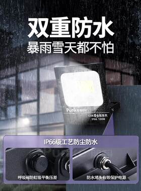 LED路灯接电款外墙220V投光灯户外防水照明灯头室外壁灯门口射灯
