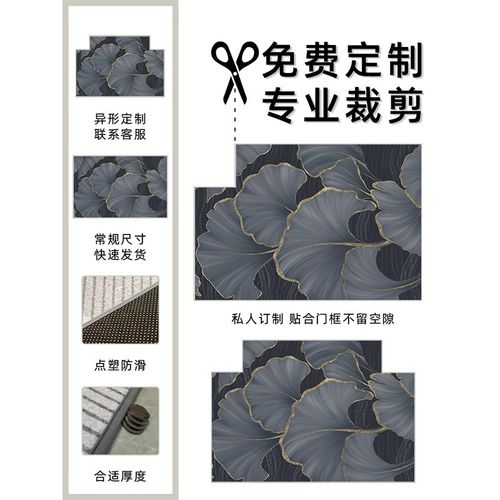 高级感进门地垫入户门垫耐脏免洗客厅门口地毯家用玄关脚垫可裁剪
