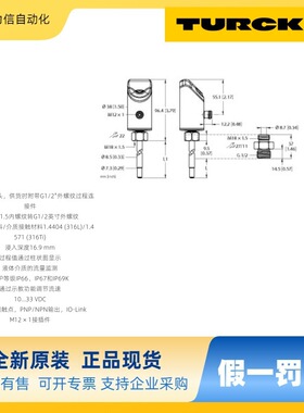 现货 TURCK图尔克 流量传感器FS100-300L-30-2UPN8-H1141接近开关