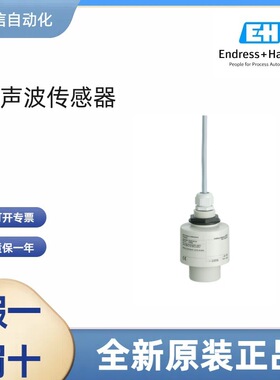 FDU91-RG2AA  恩德斯豪斯E+H 超声波液位计探头 电极电缆原厂现发