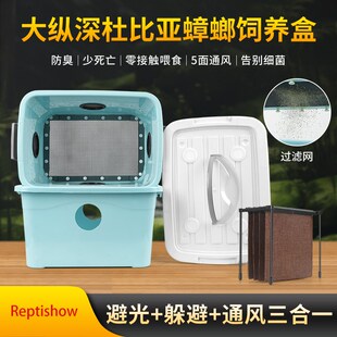杜比亚蟑螂饲养盒爬虫箱爬宠养殖携带箱昆虫躲避专用油葫芦笼蛐蛐