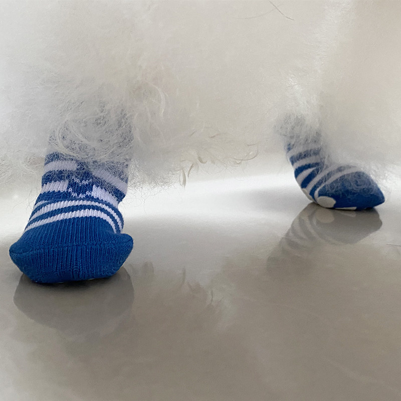 宝眷狗狗袜子猫咪脚套不掉防抓脚防脏防滑套保护套鞋套小狗宠物鞋