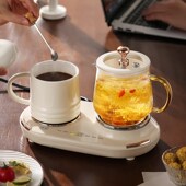 迷你养生壶办公室小容量养生杯全玻璃养生壶煮茶壶一人小型烧水壶