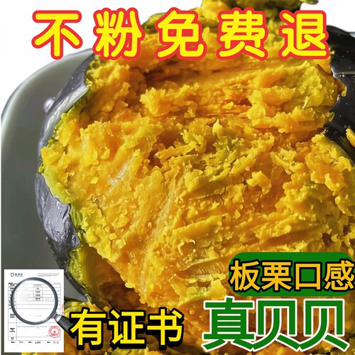 正宗山东贝贝板栗南瓜软糯甜辅食