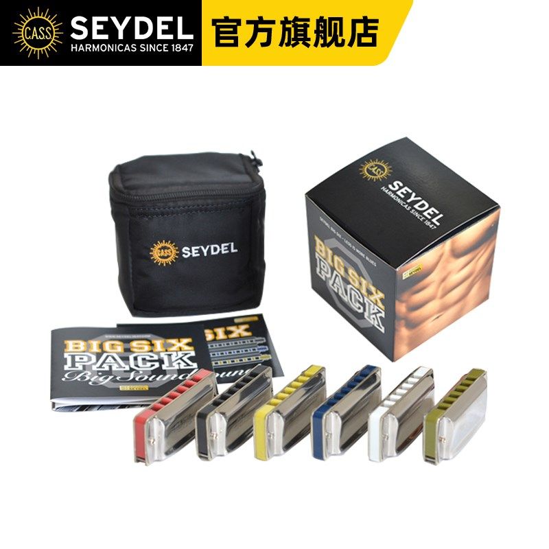 口琴赛德布鲁斯十口琴 彩色琴格支装大六
