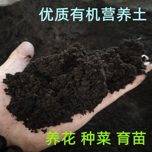东北黑泥土长白山营养发土瓜果种菜育苗庭院种植通用肥沃纯泥土