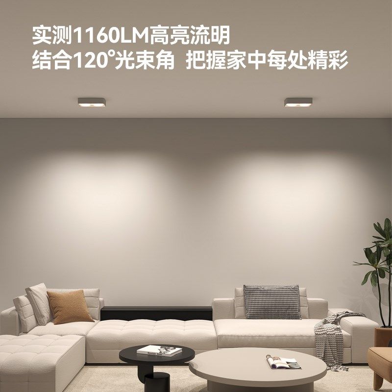 麦丹妮全光谱明装头客厅卧室防眩护眼现代极简无灯,家装灯饰光源,明装筒灯,淘宝优惠券,粉丝福利购,淘宝优惠卷