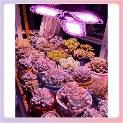 W9YX全光谱led植物补光灯折叠变形生长灯自然光块根绿植E