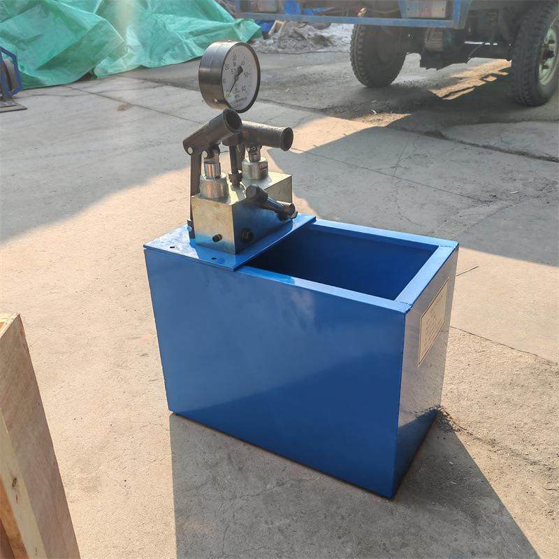 手动双缸试压泵2SB-40管道打压机PPR地暖管道测漏仪,家装灯饰光源,其它灯具灯饰,淘宝优惠券,粉丝福利购,淘宝优惠卷