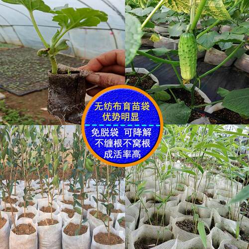 无纺布育苗袋苗木营养袋柑橘脐橙营养钵加厚种植袋可降解树苗花盆