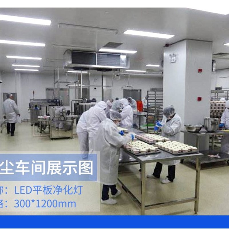 净化灯30x120led洁净灯平板灯300x1200无尘车间手术室医院吸顶灯