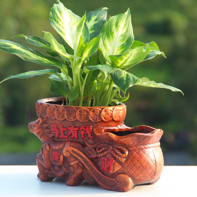 马上有钱陶瓷花盆发财树多肉组合个性创意复古红陶土双口连体花盆