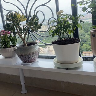 家用窗台增宽架 阳台边沿置物架 防腐花架多肉架子可调节腿加宽架