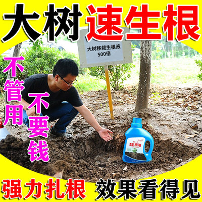 树木专用生根粉多灵菌大果树移栽扦插专用生根药水复活液枯树再生