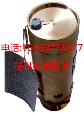 适用于阿特拉斯A28X-16T DN15弹簧安全阀0830100835=1092001964