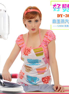 双蒸气室蒸汽吊瓶熨斗大洁王鼎玉302吊水斗浩瀚96S可调温蒸气烫斗