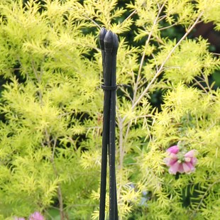 枝晓 三角支柱 盆栽固定藤蔓爬藤架花盆支架园艺包塑钢管攀爬支架