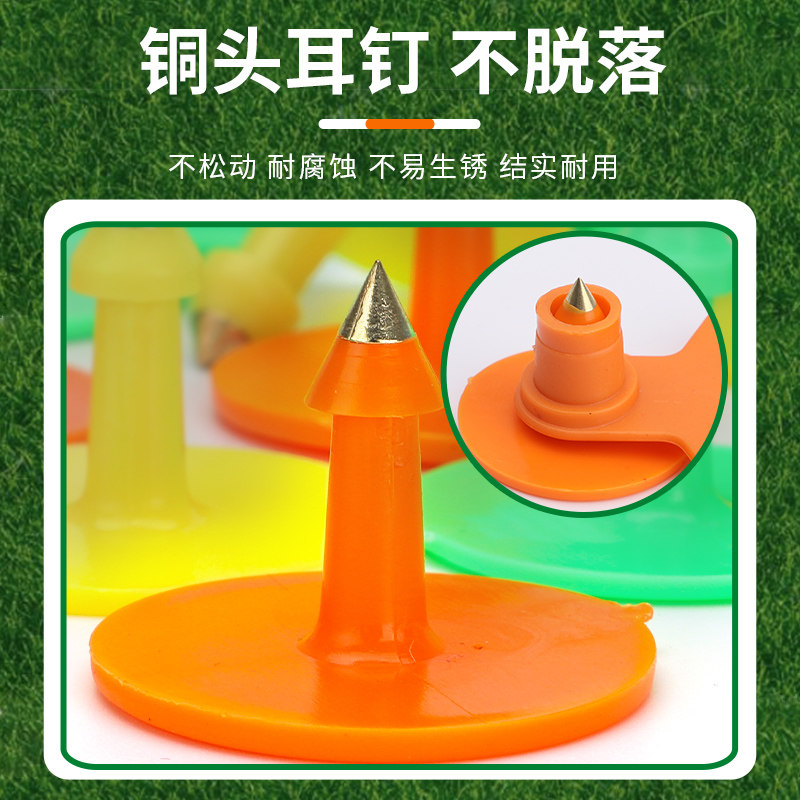 耳标号牌母猪耳标猪用带字耳标兽用耳标钳养殖场标记耳号牌钳子