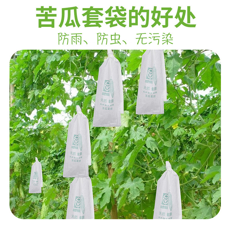 苦瓜专用套袋丝瓜黄瓜保护袋纸袋防虫网袋防鸟防水蔬菜水果保护套