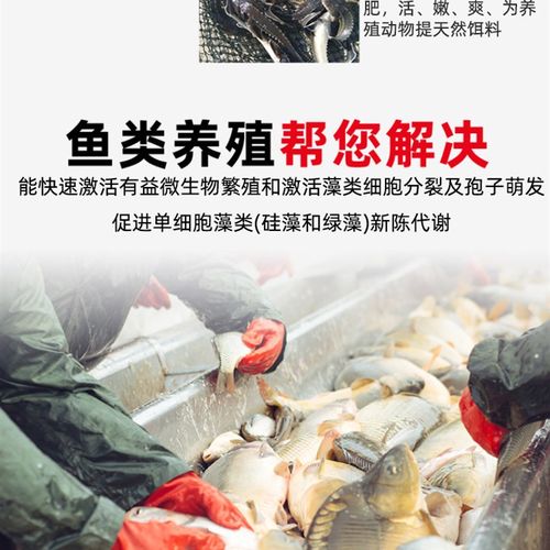 氨基酸肥水膏水产养殖专用低温鱼塘培藻小龙虾蟹小球藻硅藻肥水王