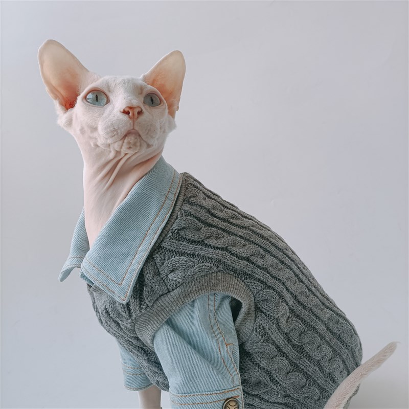 宠物猫咪背心纸样v领马甲泰迪巴哥斗牛犬狗狗模版金毛比熊衣服图