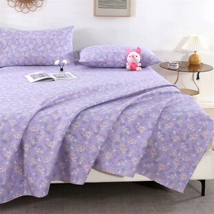 山东加厚老粗布床单单件加密双人老式宿舍单双人褥单炕单凉席被单