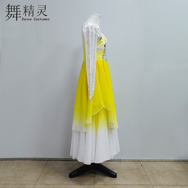 古典舞演出服剧目魏紫姚黄舞蹈服少儿成人桃李杯飘逸大摆裙艺考女