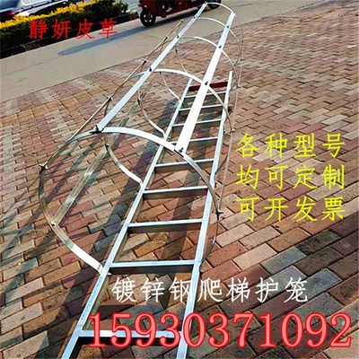304不锈钢爬梯护笼平台人字梯污水池消防梯不锈钢护笼爬梯316护笼