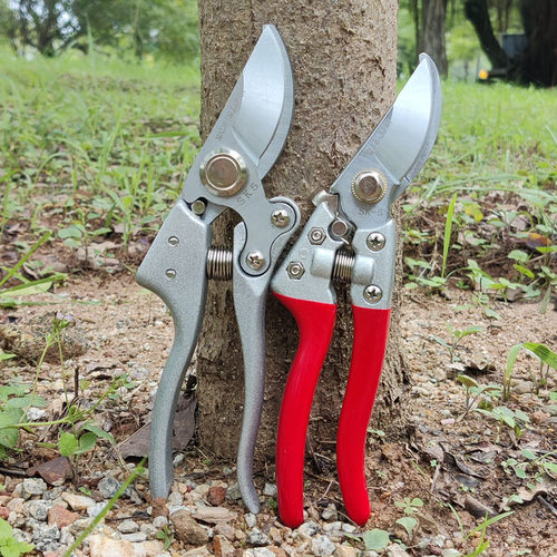 强力树枝剪不锈钢园林剪刀果树粗枝剪园艺修花盆景修枝剪花艺工具