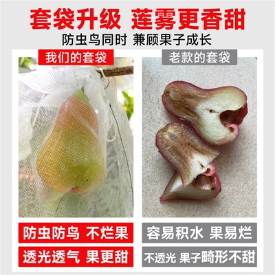 莲雾套袋专用防虫袋防鸟果袋莲雾果套袋水果网袋石榴桃子果袋神器