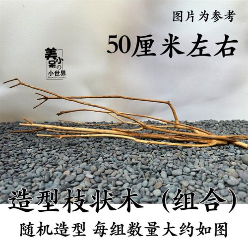 杜鹃根 栖根 沉木  草缸造景莫斯树宠鱼缸网红鸡晒台装饰树根树枝