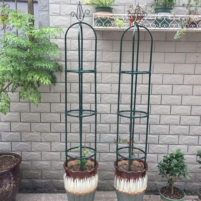 初见玫瑰阳台欧式绿植花架月季铁线莲铁艺地面防锈室外花卉爬藤架