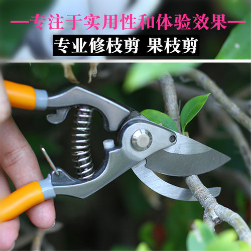 园艺剪刀修枝剪刀果树修剪树枝剪刀粗枝剪修花剪刀园丁剪园林剪刀
