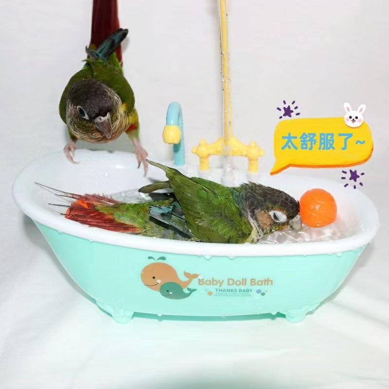 虎皮牡丹玄凤小金太和凯克尚阳鹦鹉夏季电动洗澡沐浴盆玩水玩具盆