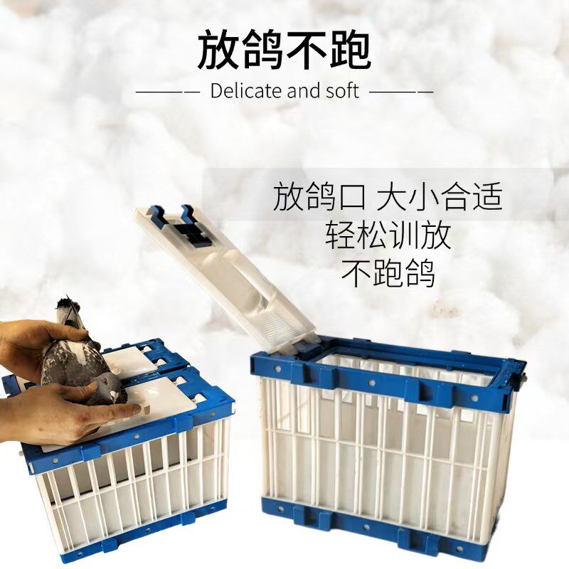 鸽笼鸽子信鸽鸽具赛鸽比赛放笼训放笼塑料放飞鸽子笼报道用品