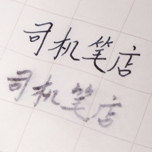 铁胆铁素档案级防水钢笔墨水广州白云蓝黑复古鞣酸亚铁墨水医生用