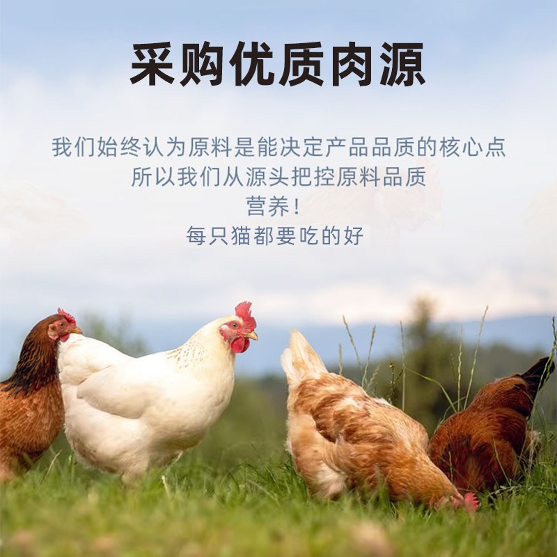 宠希望低温烘焙全价无谷猫粮幼猫粮布偶英短美短专注肠道舒适试吃