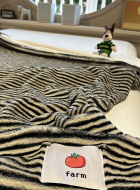 舒适兔兔绒黑色条纹毛毯泰迪绒午休毯盖毯秋冬加厚毯子卧室沙发
